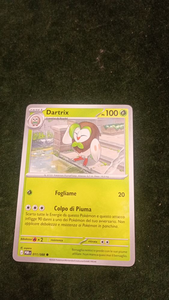 CARTA POKEMON