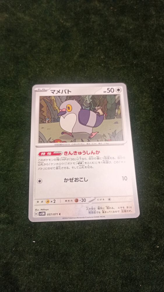 CARTA POKEMON
