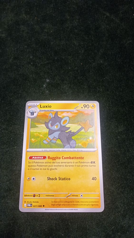 CARTA POKEMON