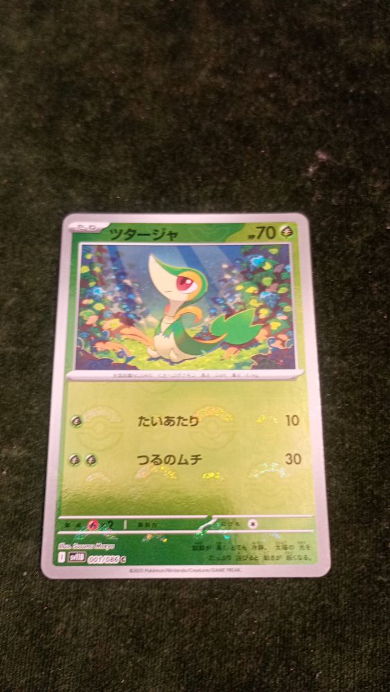 CARTA POKEMON
