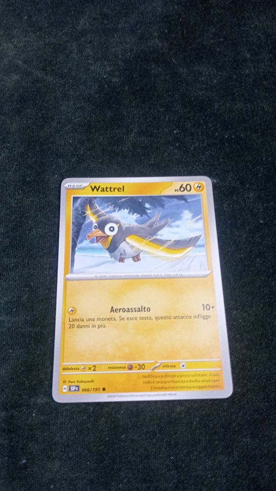CARTA POKEMON